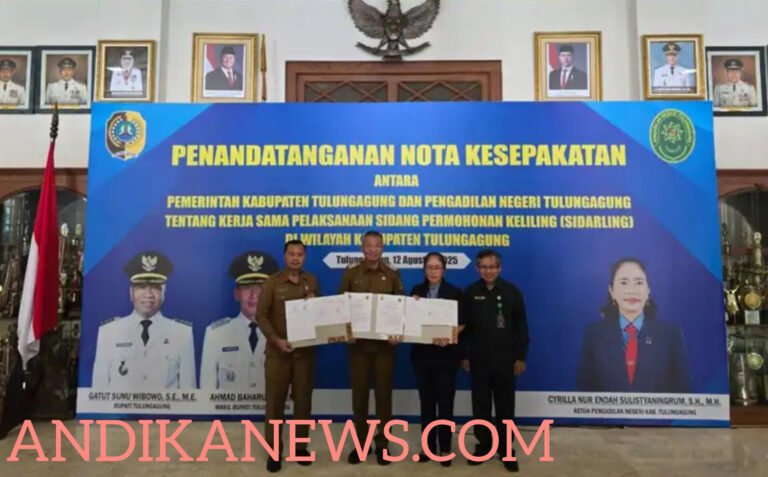 InShot_20250815_003812085