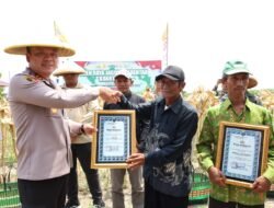 Polres Tulungagung Gelar Panen Raya Jagung Kuartal III di Desa Pakel Kecamatan Ngantru