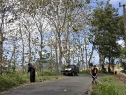 UPT Pengelolaan Jalan dan Jembatan Wilayah Campurdarat Dinas PUPR Tulungagung Lakukan Perapian Bahu Jalan di Ruas Campurdarat–Pakisrejo