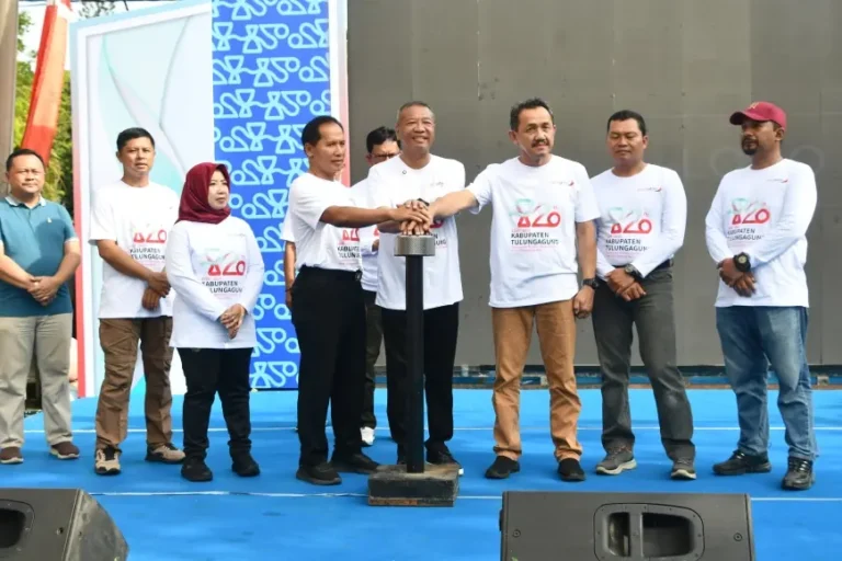 image_870x_68fe29b290927