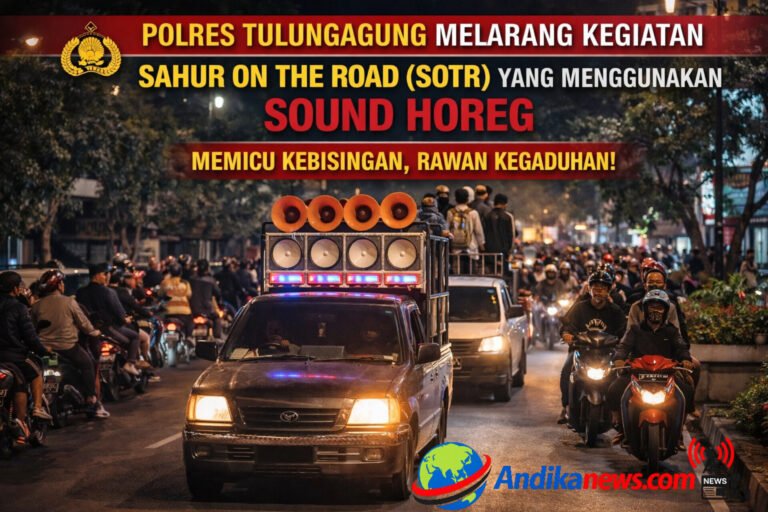 InShot_20260219_140529317