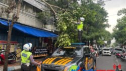 Satsabhara dan Satlantas Polres Tulungagung Gerak Cepat Tangani Pohon Tumbang di Jalan Basuki Rahmat