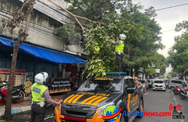 InShot_20260304_161305196