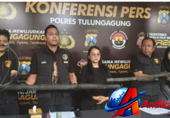 InShot_20260407_210846709