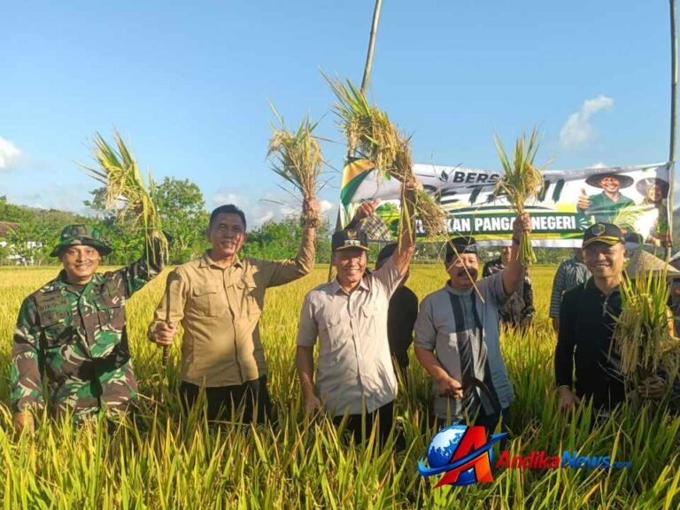 Tradisi Petik Padi di Kalidawir Tulungagung